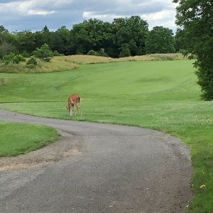 Meet your Posher, Jack